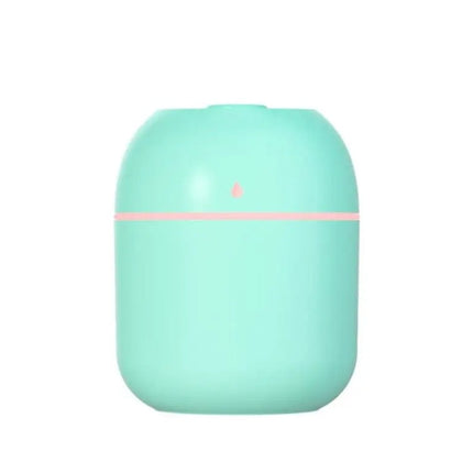 Portable Mini Humidifier 220ml Small Cool Mist Humidifier USB Personal