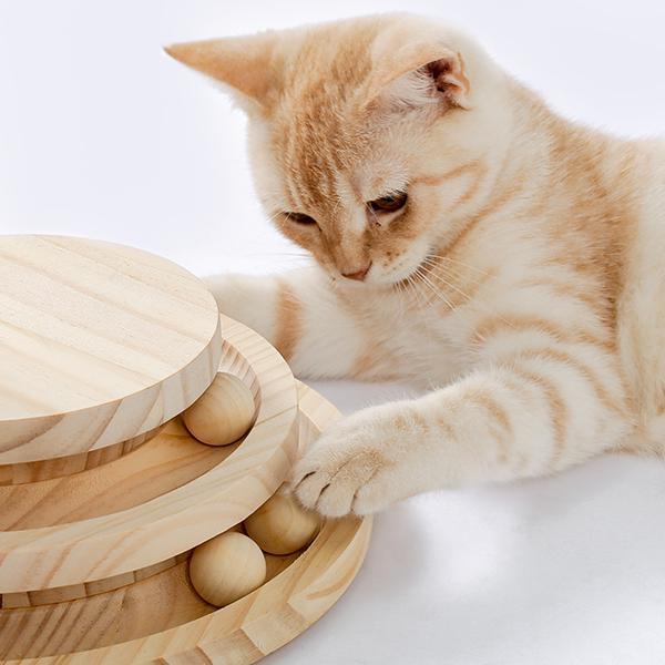 Indoor Cat Soft Scratching Board And Interactive Ball Track Toy Cat