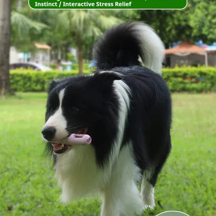 DOG Chew Toys For Teeth Cleaning,Pet Sausage Chew Brush,Pet Chew &