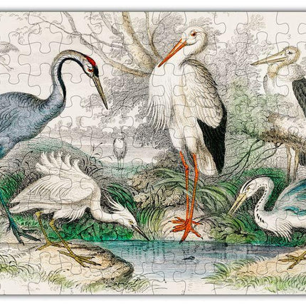 Birds Puzzle #6702