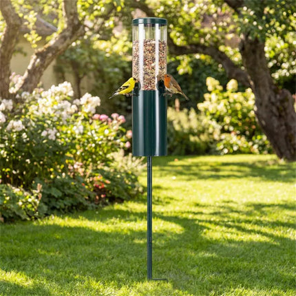Standing Bird Feeder Squirrel-Proof, 4 Feeding Port With Perches