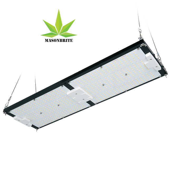 MasonBrite StealthGrow 240W Full Spectrum IP65 Waterproof 4X2 Samsung