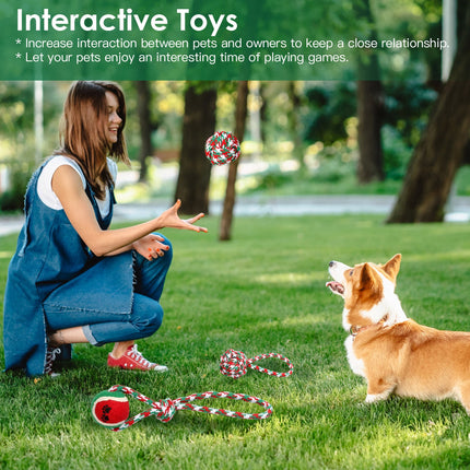 Set Of 5Pcs Christmas Dog Rope Chew Toys Dog Interactive Toys Set For