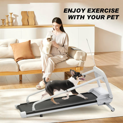 New Quiet Smart Pet Treadmill, Adjustable Speed, Perfect For Small