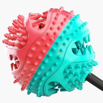 Dog Chew Toys Pet Toothbrush Rubber Bones Teeth Cleaning