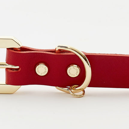 Golden Spike Red Collar