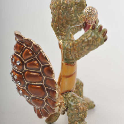 Turtle Singing with a Microphone