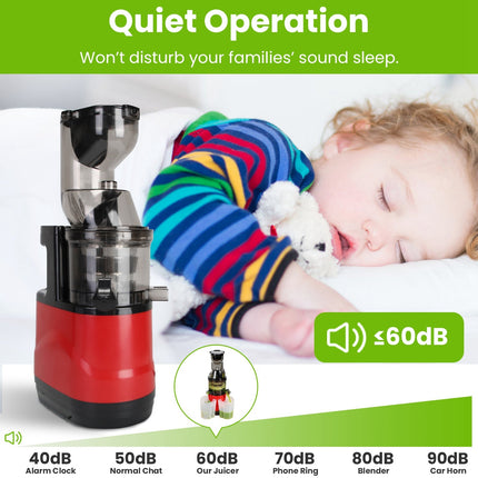 1Pc Cold Press Juicer Machine 300W Electric Slow Masticating Juicer