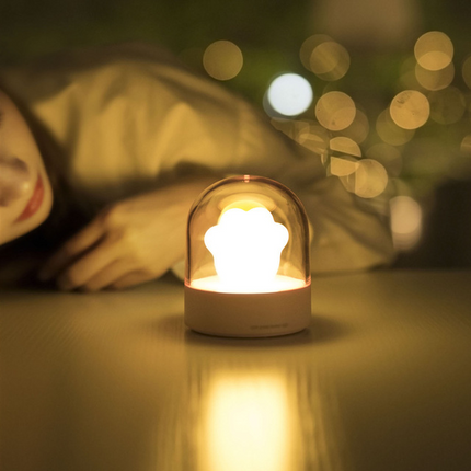 Exquisite Night Light Cat Paw Light USB Charging Music Box