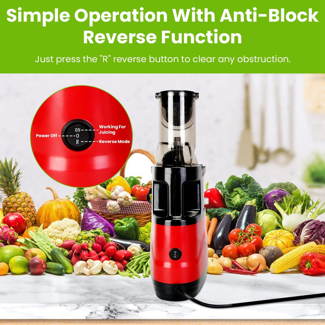 1Pc Cold Press Juicer Machine 300W Electric Slow Masticating Juicer