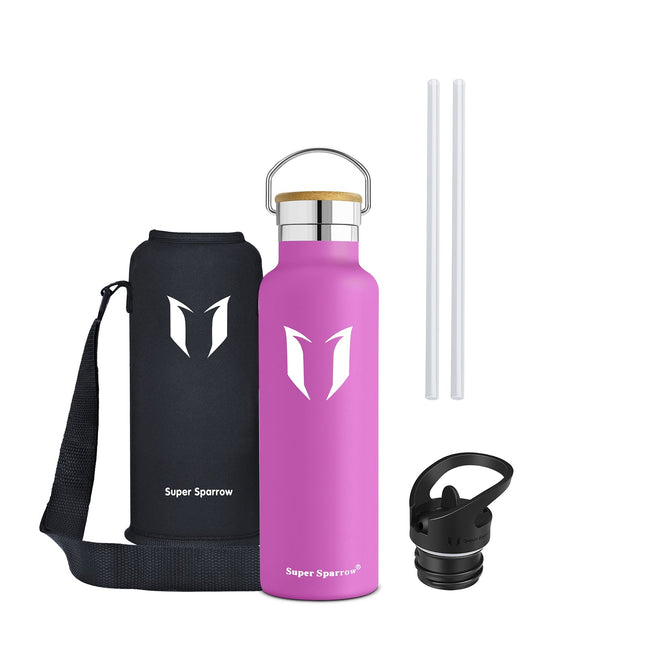 Insulated Stainless Steel Water Bottle, 21OZ / 620ML