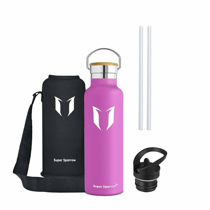Insulated Stainless Steel Water Bottle, 21OZ / 620ML