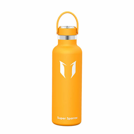 Ultra-Light Stainless Steel Water Bottle, 25OZ / 750ML