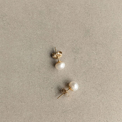 Puces perles Charly