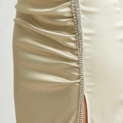 Gleaming Allure Dress
