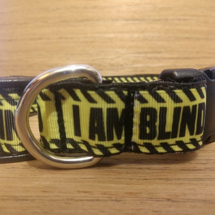 Collar and Leash Combo/ Large/ Blind