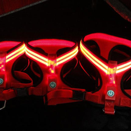 Led Dog Harness