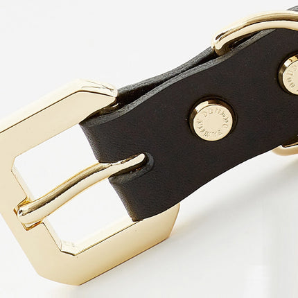 Golden Spike Black Collar