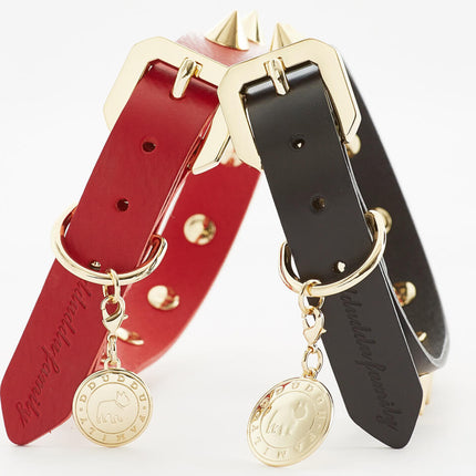 Golden Spike Red Collar