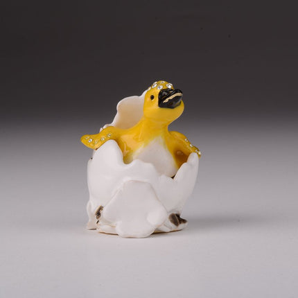 Duck Coming out of Eggshell