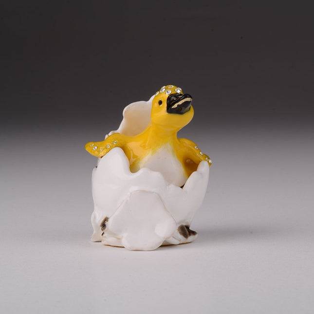 Duck Coming out of Eggshell