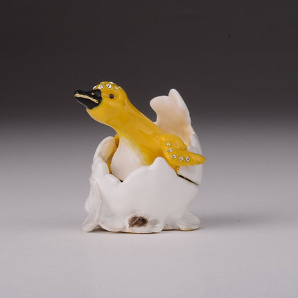 Duck Coming out of Eggshell