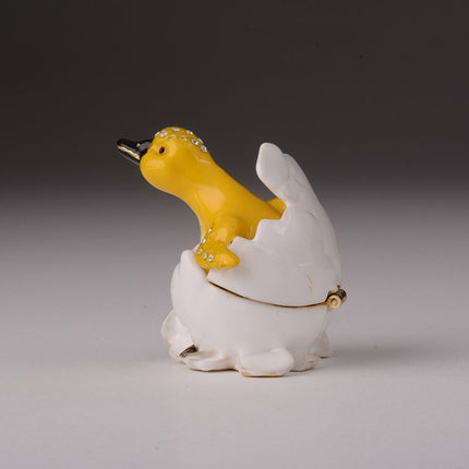 Duck Coming out of Eggshell