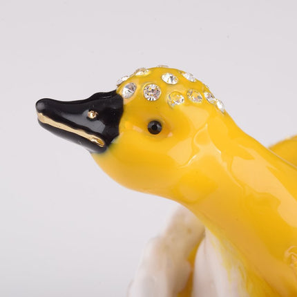 Duck Coming out of Eggshell
