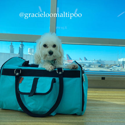 312 Hideaway™ Duffel - Pet Carrier