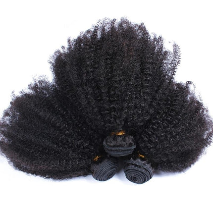 BeuMax 10A Grade 3/4 Afro Kinky Curly Bundles with 4x4 Closure