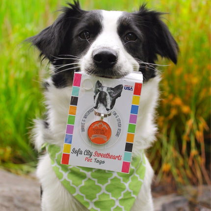 "Adventure is Out There" Personalized Dog ID Custom Pet Tag You Choose