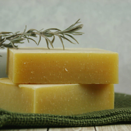 Natural Campers Shampoo & Body Bar - Insect