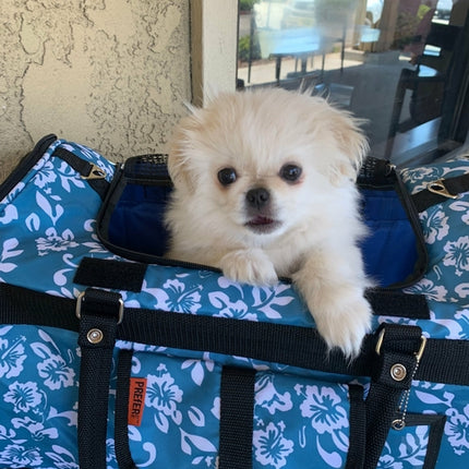 312 Hideaway™ Duffel - Pet Carrier