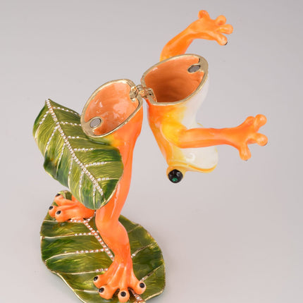 Frog Playing on Keyboards
