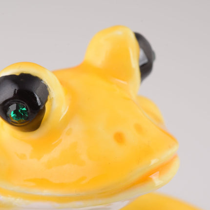 Frog Playing on Keyboards
