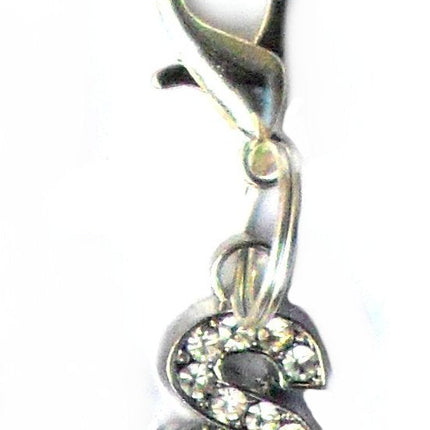 A-Z Crystal Letter Pet Charms
