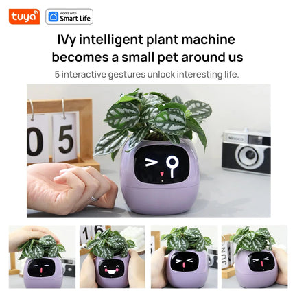 Tuya Ivy Smart Planter,Endless Fun Over 49 Rich Expressions,7 smart