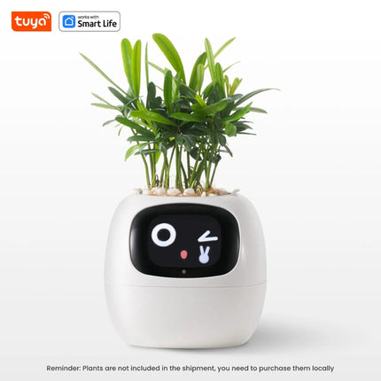 Tuya Ivy Smart Planter,Endless Fun Over 49 Rich Expressions,7 smart