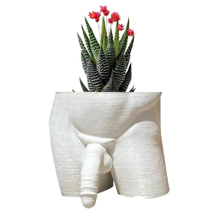 Resin Plant Pot Decor Sexy Men Naked Butt Flower Growing Pot Desktop