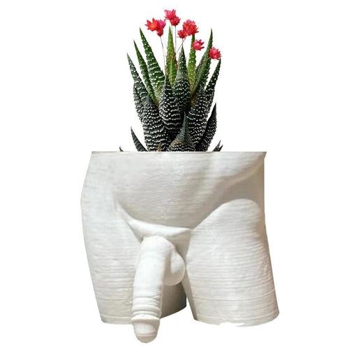 Resin Plant Pot Decor Sexy Men Naked Butt Flower Growing Pot Desktop