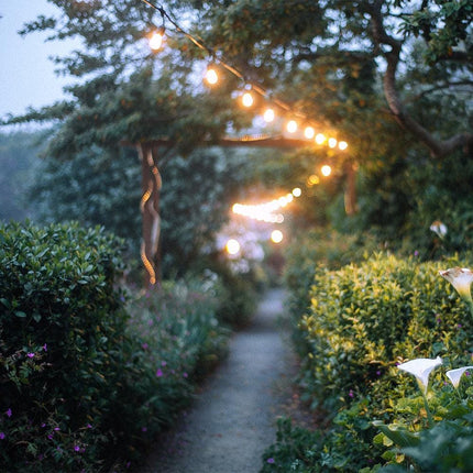SL101 LED Low Voltage Bistro String Lights 48 FT Outdoor Weatherproof