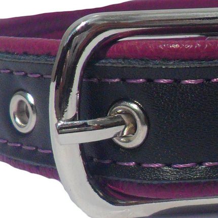 Berry Dog Collar