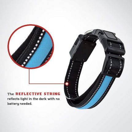 USB and Solar Charge Reflective Led Dog Collar