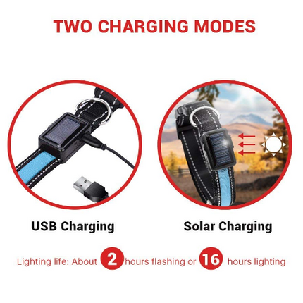 USB and Solar Charge Reflective Led Dog Collar