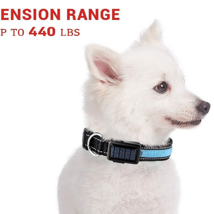 USB and Solar Charge Reflective Led Dog Collar