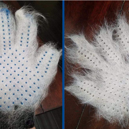 Pet Grooming Glove