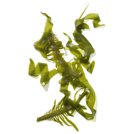 Mekabu Hydrating Salon Size Conditioner