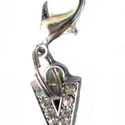 A-Z Crystal Letter Pet Charms
