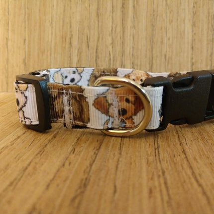 Collar/ Small/ White Dogs