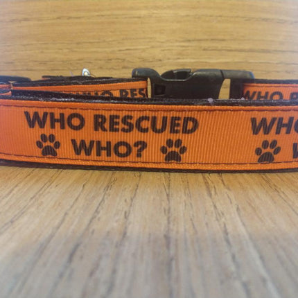 Leash/ Large/ Who Rescued Who